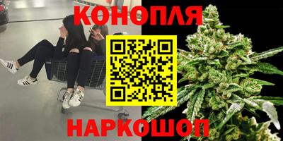 мдпв Новодвинск